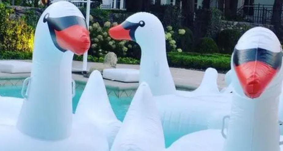 Picture of swans in Catherine Zeta-Jones' swimming pool